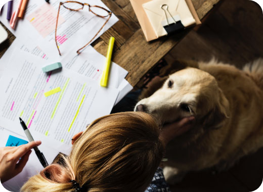 A person reviews highlighted documents at a wooden table while petting a golden retriever. Glasses, pens, and office supplies are also on the table.